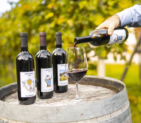 Sunny terrace with mountain view at Sonngart guesthouse in South Tyrol