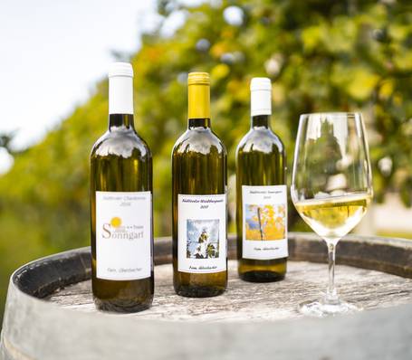 Modern apartment building Sonngart exterior with balconies and mountain view in South Tyrol