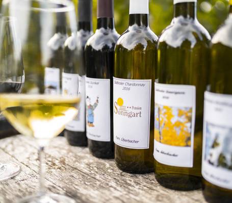 Panoramic view of Sonngart holiday apartments in South Tyrol with mountain backdrop and garden