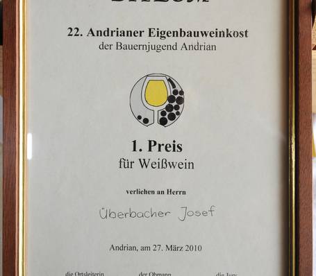 Graduation ceremony at Sonngart vocational school with students receiving diplomas