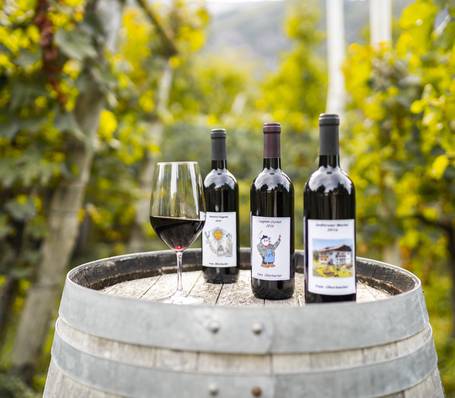 Modern wooden holiday apartment with mountain view at Sonngart in South Tyrol