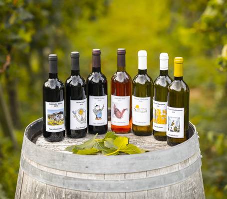 Modern holiday apartments with mountain view and garden at Sonngart in Tramin, South Tyrol