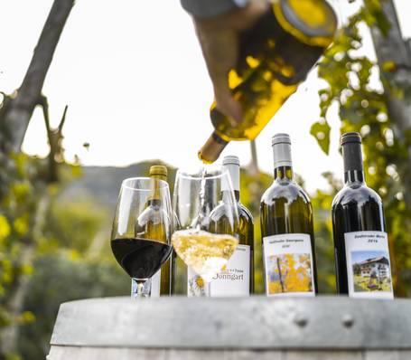 Panoramic view of modern wellness hotel Sonngart with outdoor pool in South Tyrol Alps