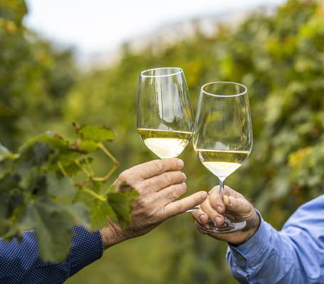 Panoramic view of Sonngart farmstead with lush green meadows and mountains in South Tyrol