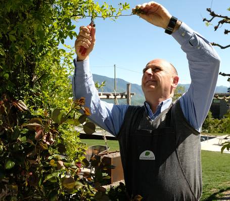 Modern holiday apartment with mountain view at Sonngart Residence in South Tyrol